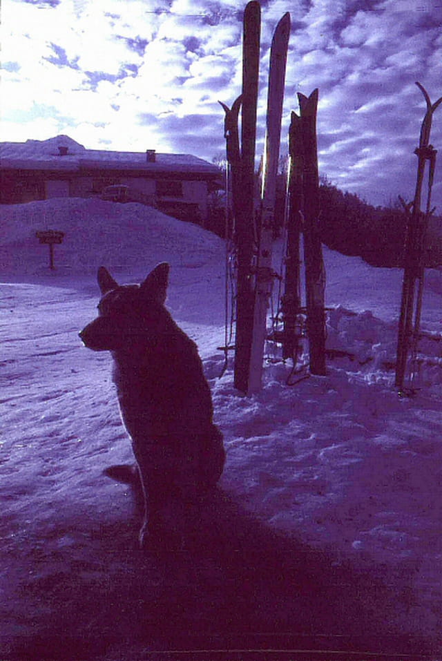 Le gardien de la piste