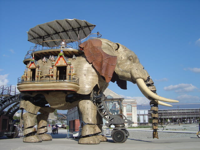 Le grand éléphant au repos