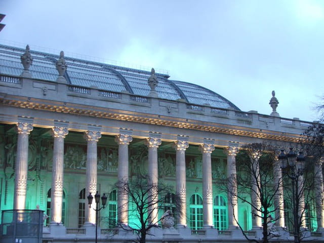 Le grand palais