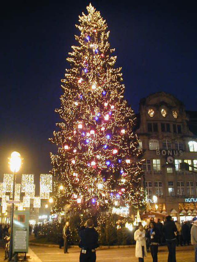 Le grand sapin place kléber