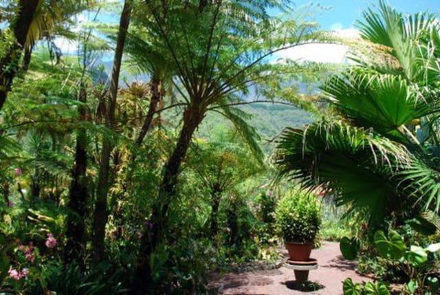 le jardin de la Maison Folio