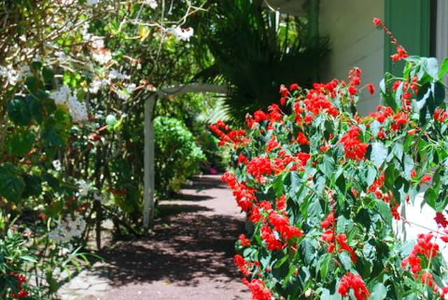 le jardin de la Maison Folio
