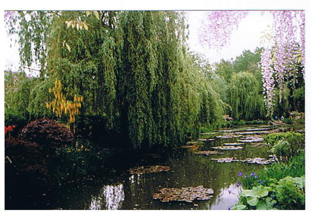 Le jardin de monet
