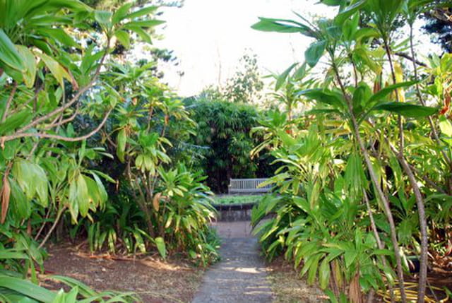 le jardin du Conservatoire National Botanique de Mascarin