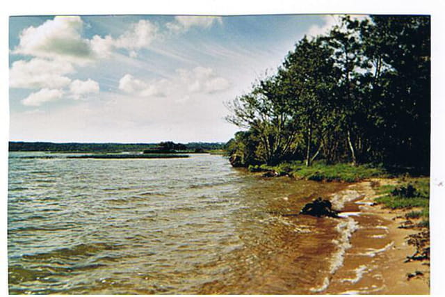 le lac sauvage