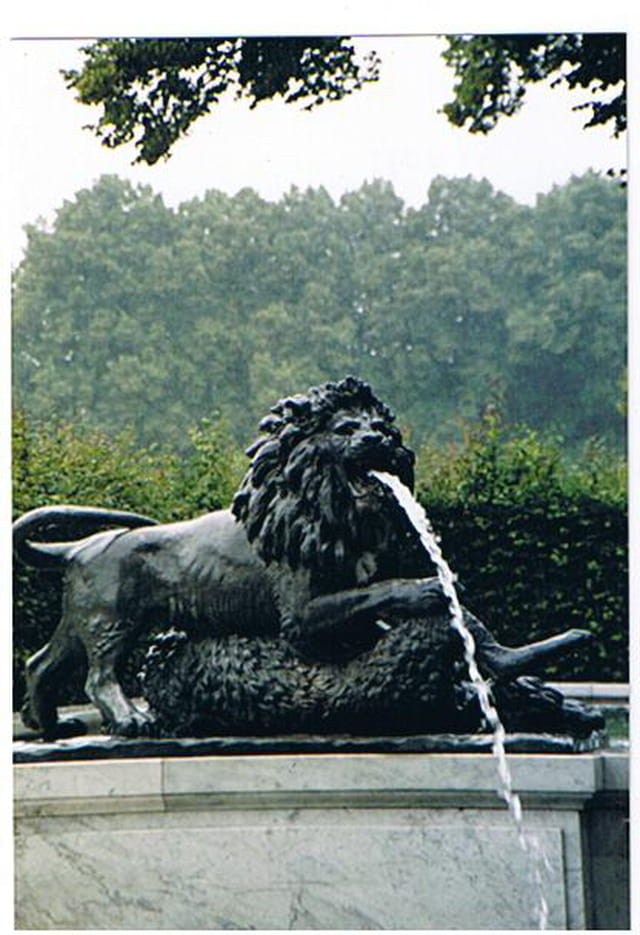 Le lion