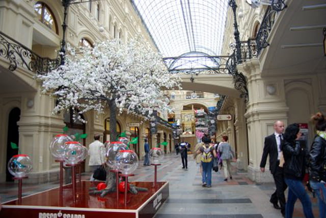 le magasin Goum