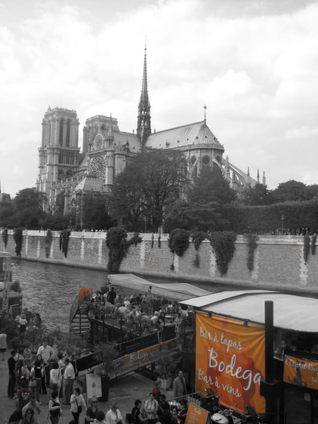 Le marché du sud-ouest