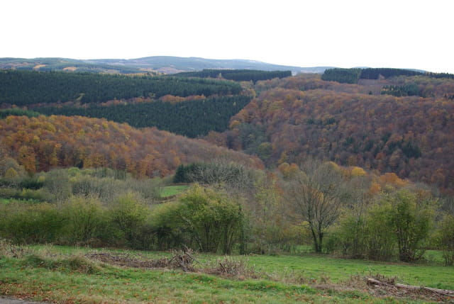 Le Morvan en automne