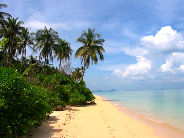Le paradis ?