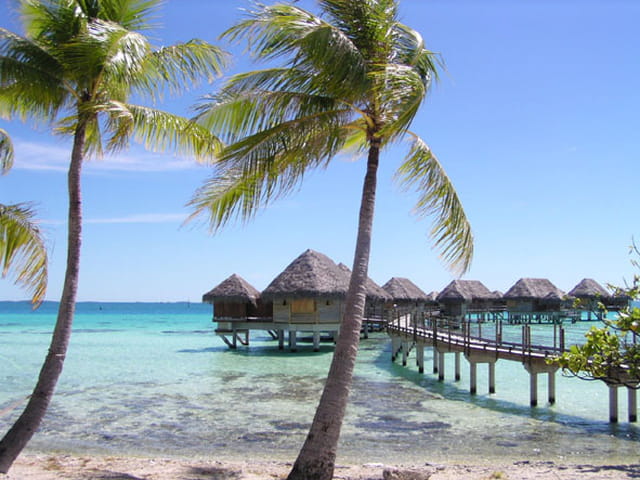 Le paradis existe !