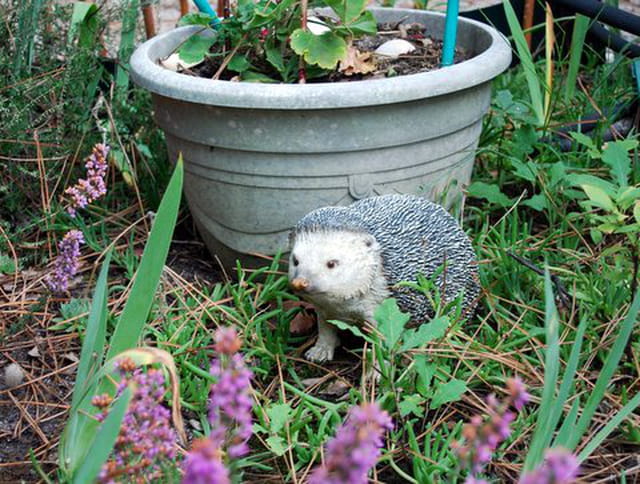le petit hérisson de décoration