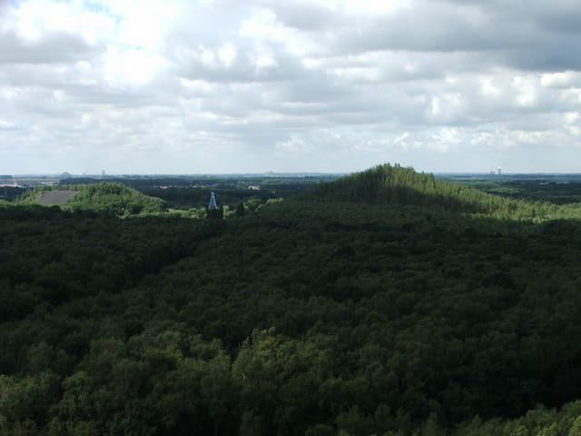 Le soleil couchant