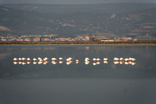 Le sommeil des anges