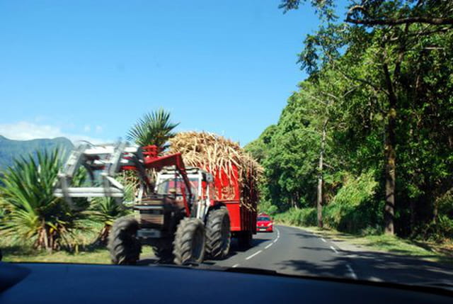 le transport de la canne à sucre