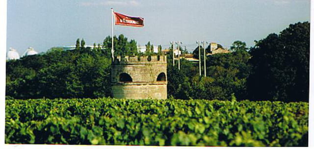 le vignoble en Médoc