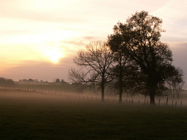 Légère brume au coucher