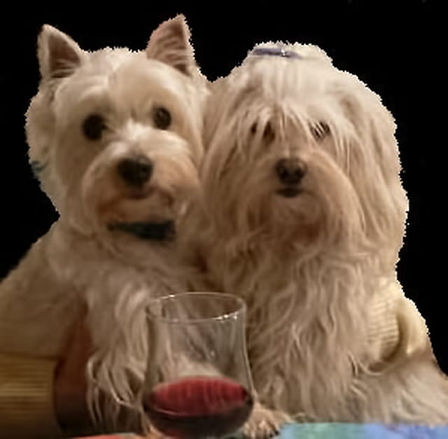 Les amoureux