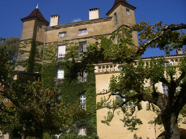 Les arbres,parure des pierres