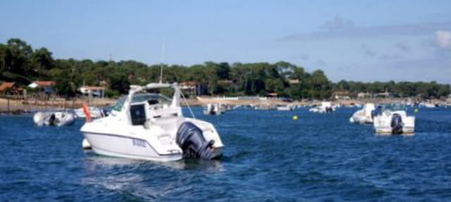 les bateaux amarrés