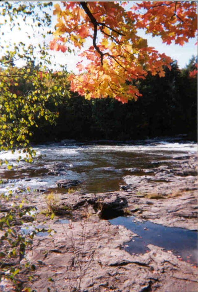 Les couleurs de l'Automne