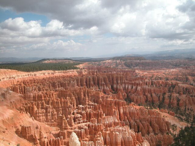 Les couleurs du paradis