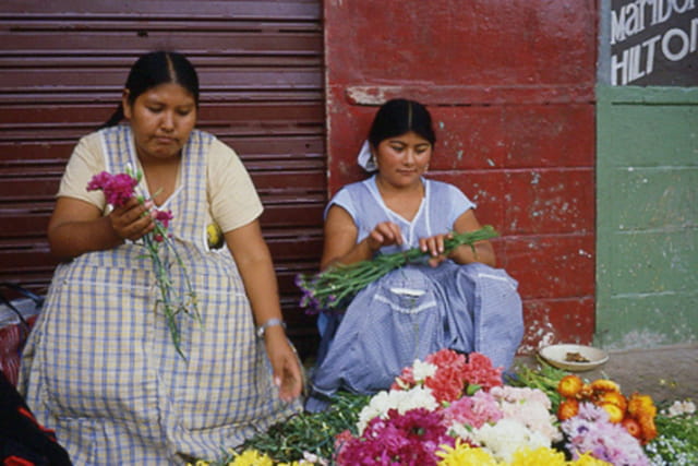 Les deux fleuristes