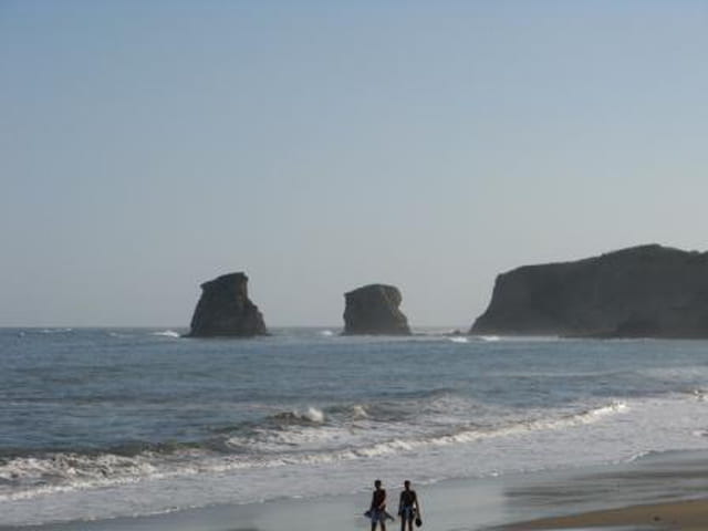 Les deux jumeaux