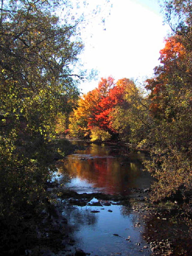 Les feux de l'automne