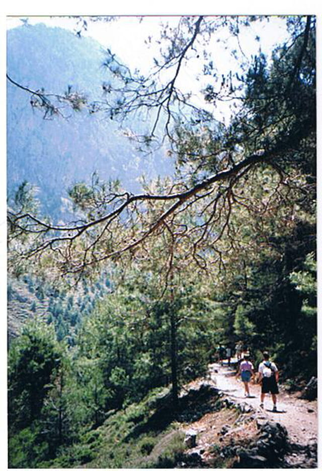 Les gorges de Samaria
