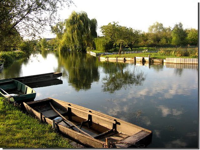 Les marais de Bourges