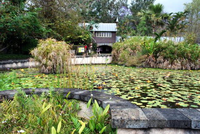 les plans d'eau de la propriété du marquis de Chateauvieux
