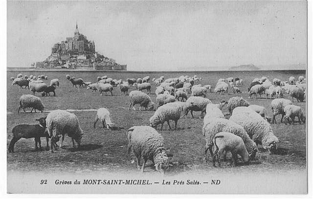 Les prés salés