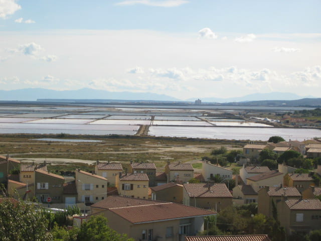LES SALINS