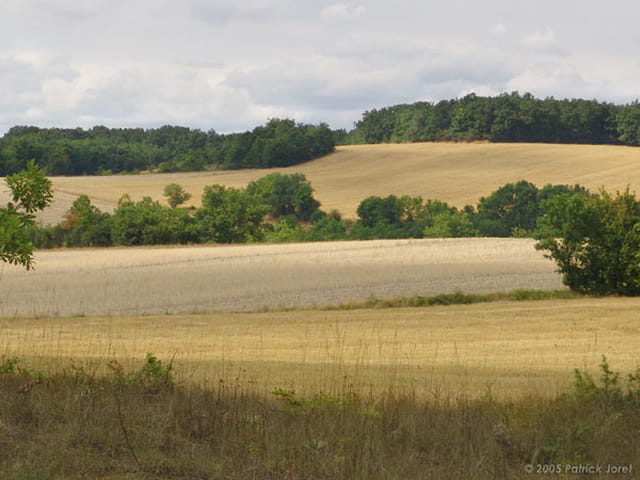 Lignes de vie