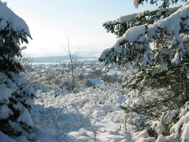 Longues sous la neige