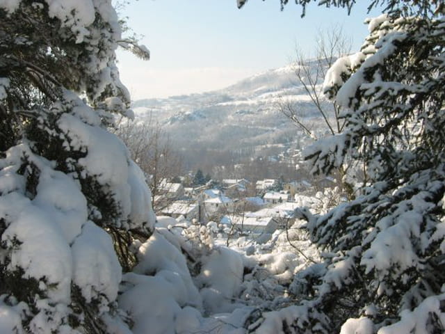 Longues sous la neige