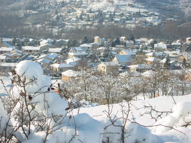 Longues sous la neige