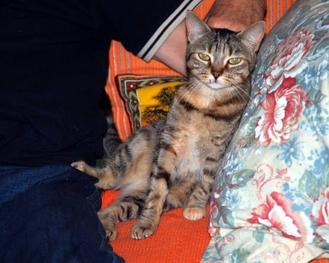 Louna