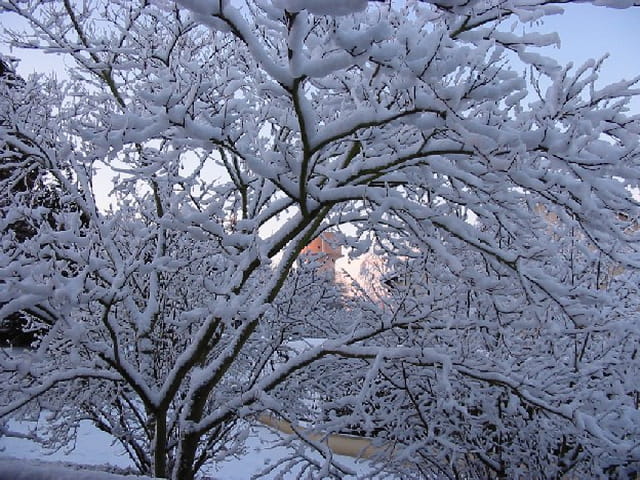 Lueur un jour de neige