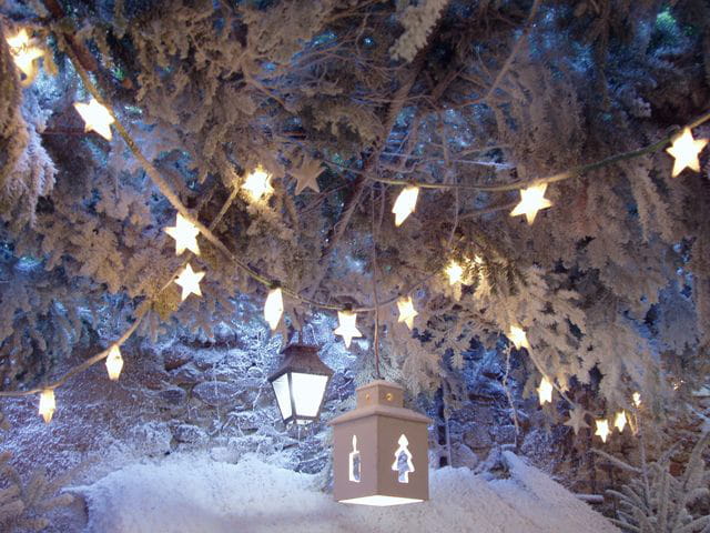 Lumières de Noël