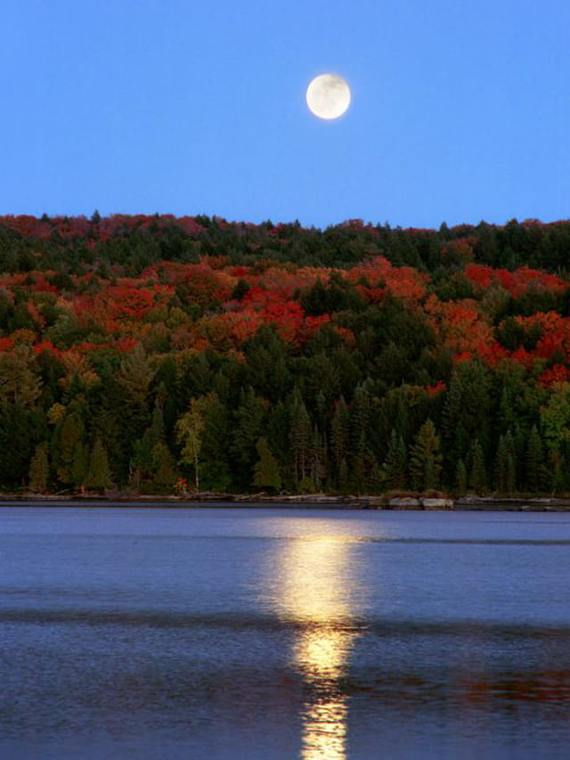 Lune d'automne