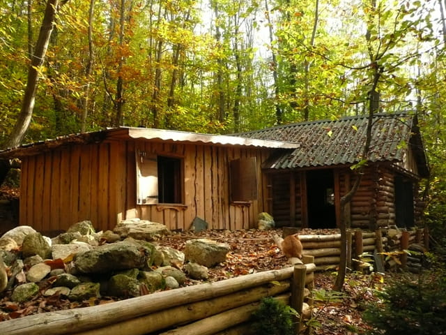 La Cabane Au Fond Des Bois Ma cabane au fond des bois 2 par sur L'Internaute