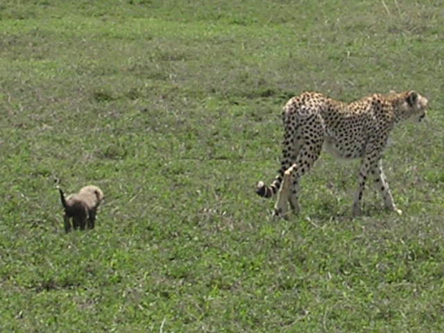 Madame et son bebe
