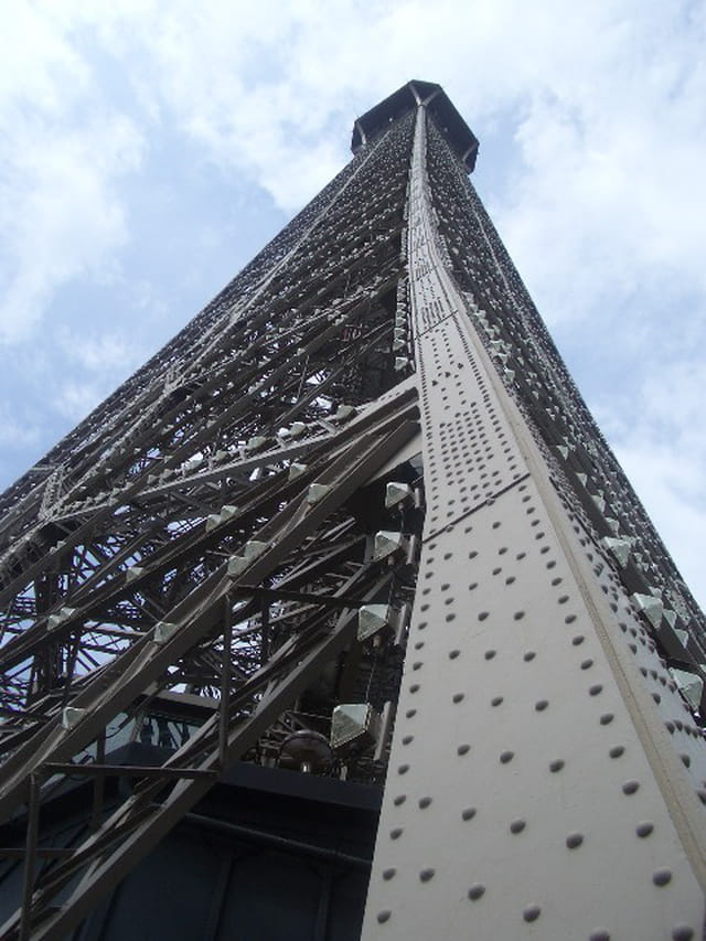 Majestueuse Dame de Fer