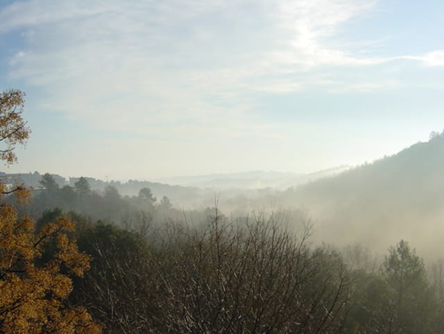 Matin d'hiver