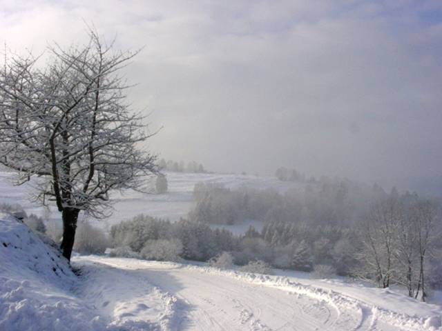 Matin d hiver