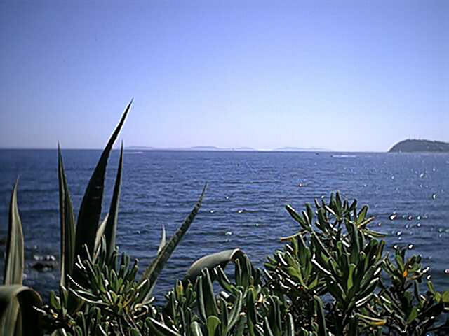 Méditerranée