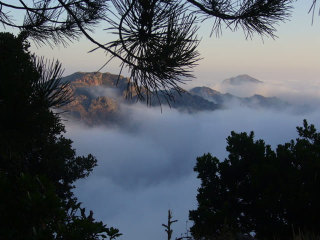 Mer de nuages