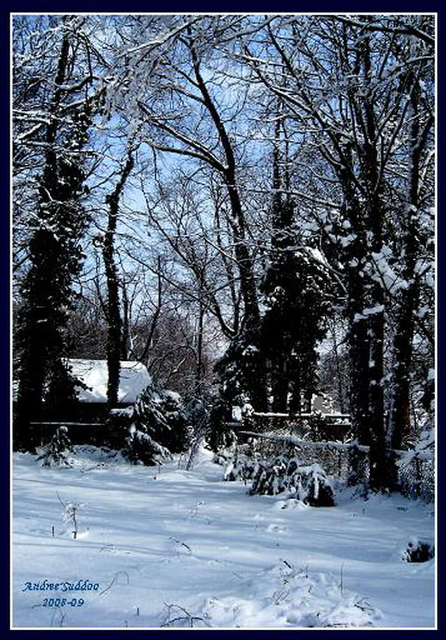 "Merveilleux paysage de neige".